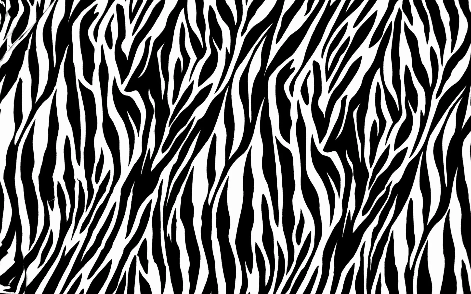 Zebra Print - Fondos de pantalla gratis para 1920x1200