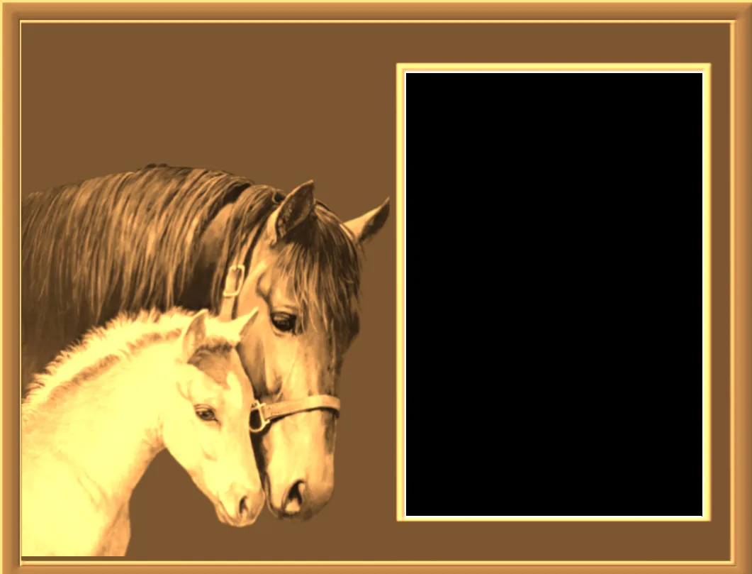 Invitaciones infantiles de caballos - Imagui