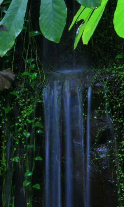 Fondos Cascada - Aplicaciones Android en Google Play Fondos Cascada - Aplicaciones Android en Google Play