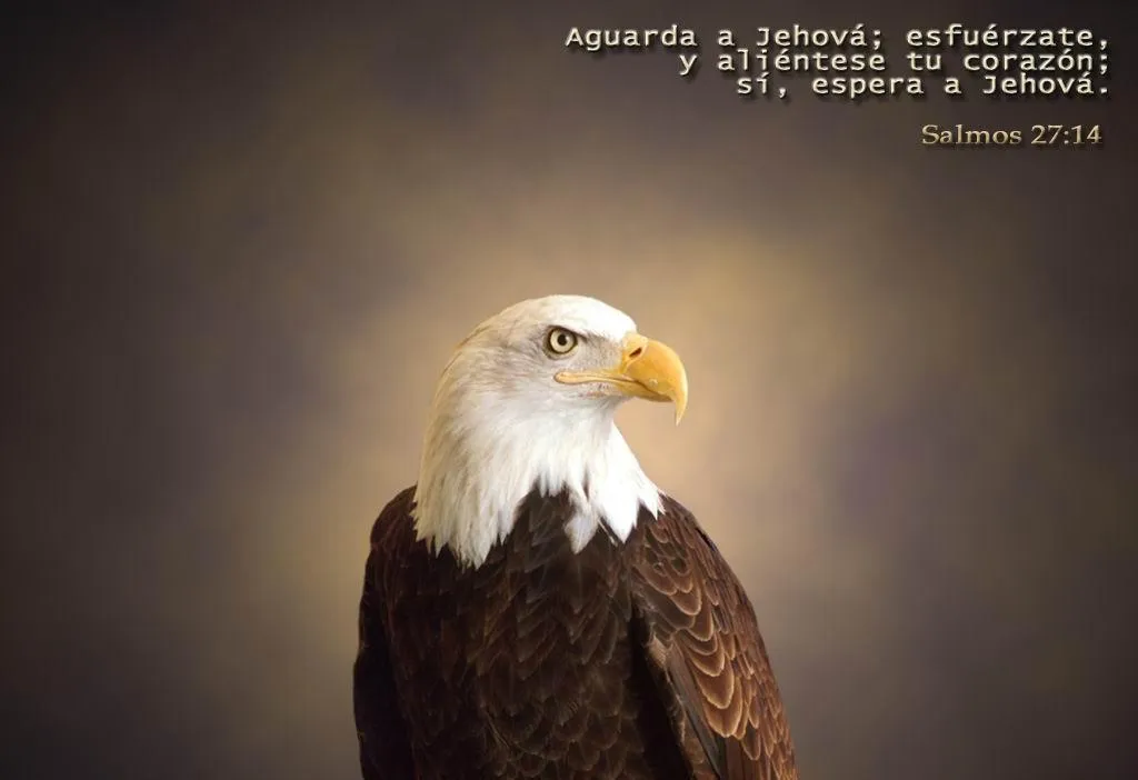 Fondos de escritorio cristianos y Gifs animados Fondos de escritorio cristianos y Gifs animados