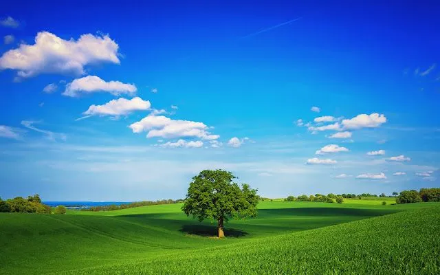 Fondos de escritorio, fondos de escritorio gratis, imagenes fondo ... Fondos de escritorio, fondos de escritorio gratis, imagenes fondo ...