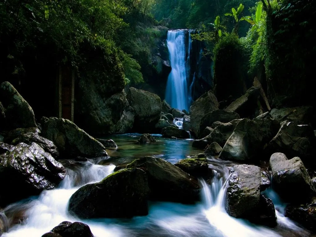 FONDOS COPADOS: cascada en el bosque paisajes FONDOS COPADOS: cascada en el bosque paisajes