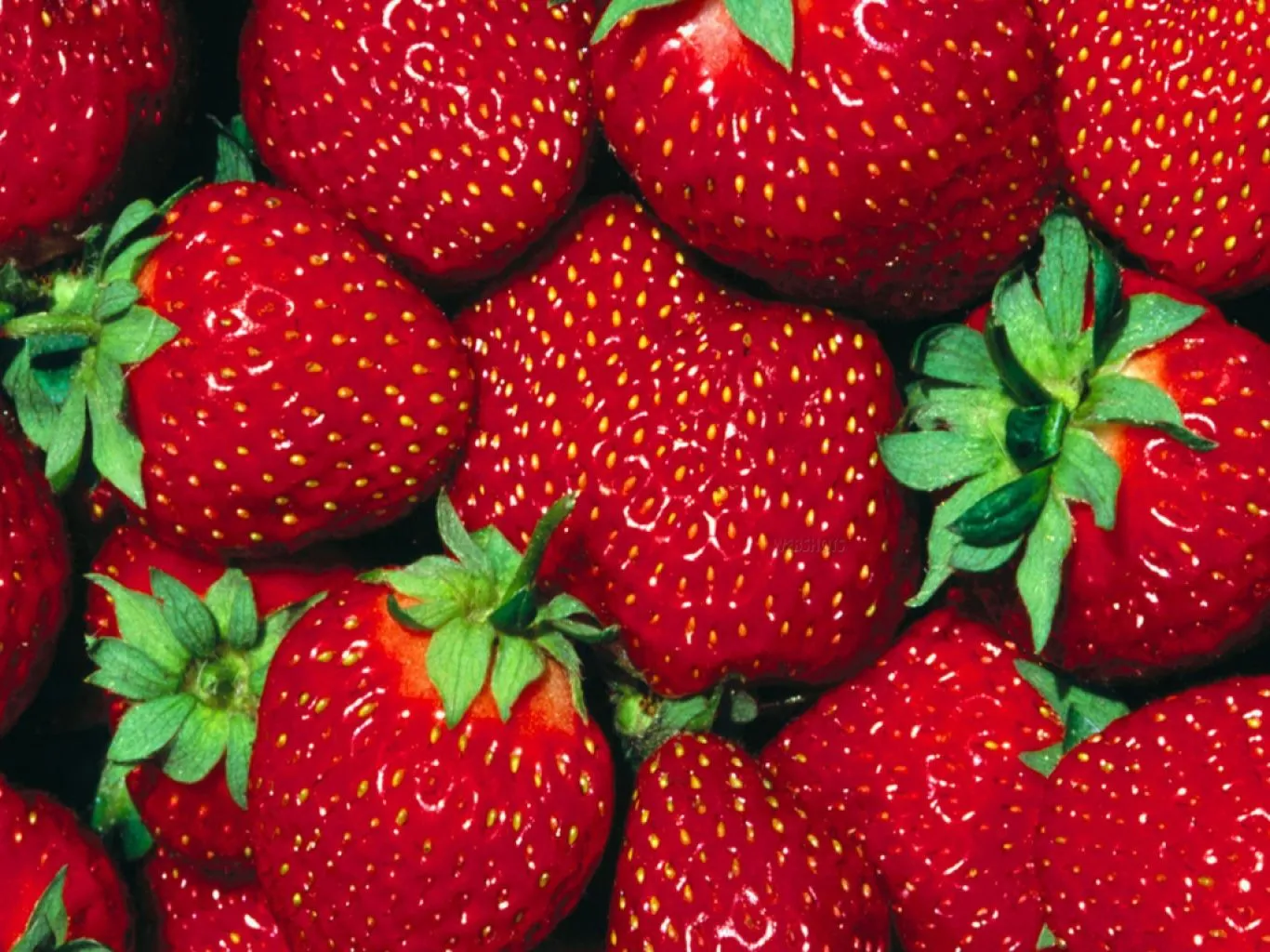 traigo unos fondos o Wallpapers de Frutas espero que los disfruten ... traigo unos fondos o Wallpapers de Frutas espero que los disfruten ...