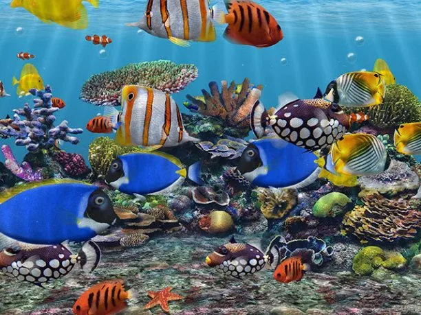 Fondos marinos 3D - Imagui