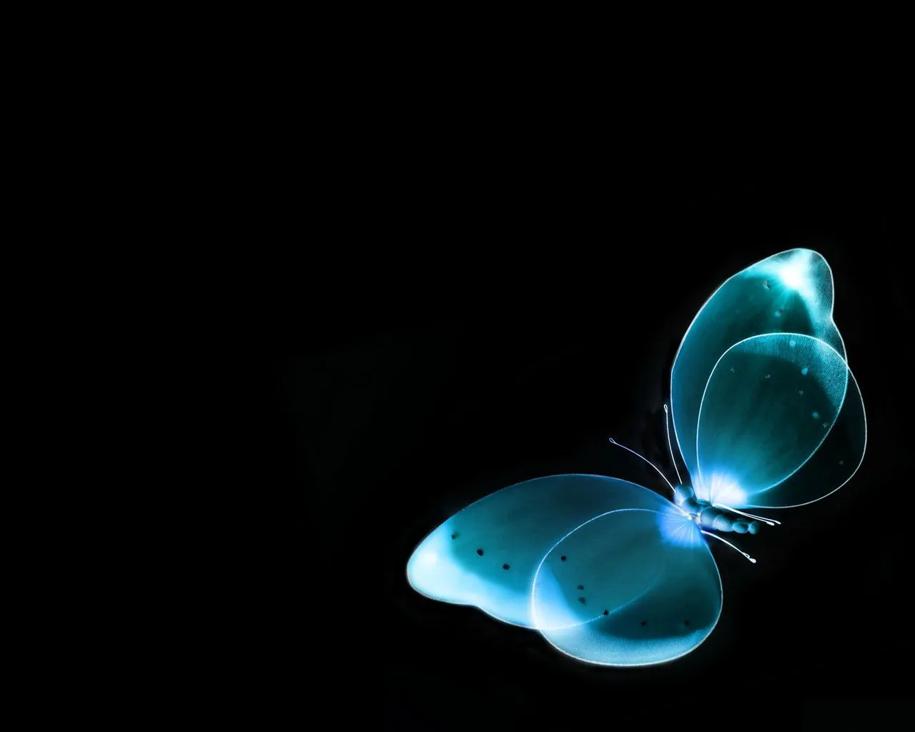 Fondos de Mariposas | FONDOS DE PANTALLA Wallpapers Fondos de Mariposas | FONDOS DE PANTALLA Wallpapers