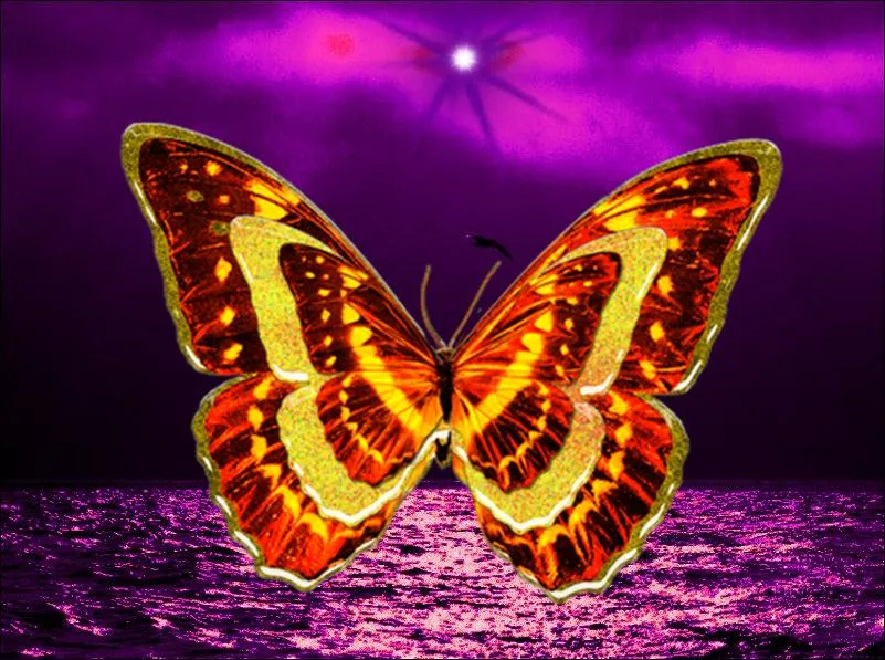 Fondos de pantalla coñ movimiento de mariposas - Imagui
