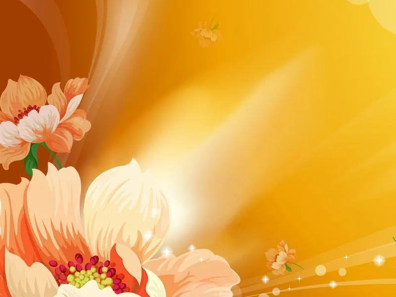 fondos de pantalla de Floral Naranja. wallpapers de Floral Naranja fondos de pantalla de Floral Naranja. wallpapers de Floral Naranja
