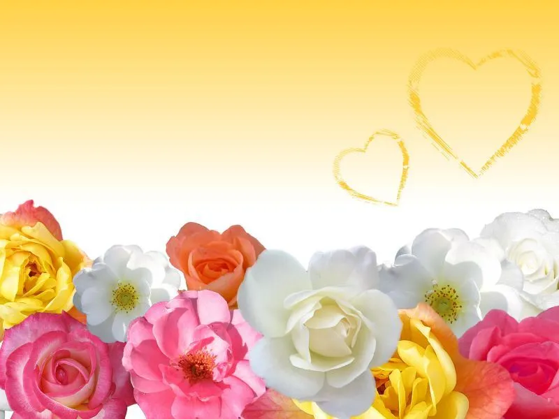 fondos de pantalla de Rosas de Colores. wallpapers de Rosas de Colores fondos de pantalla de Rosas de Colores. wallpapers de Rosas de Colores