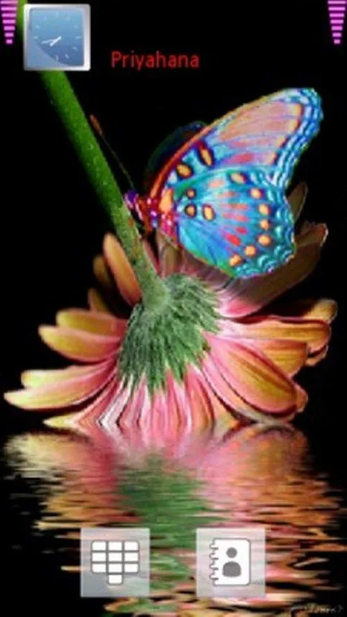 Fondos pantalla movil mariposas - Imagui