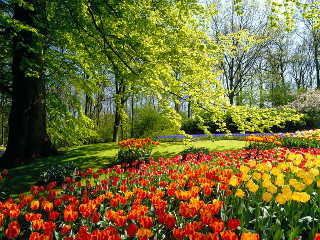 Fondos de Pantalla de Paisajes - Fondo de Pantalla - Wallpapers ... Fondos de Pantalla de Paisajes - Fondo de Pantalla - Wallpapers ...