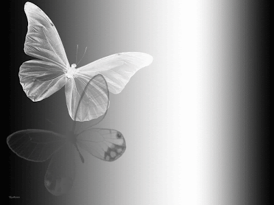 Fondos y Postales: Mariposas en blanco y negro
