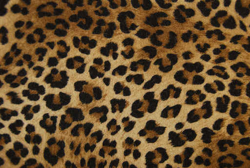 Texturas de leopardo - Imagui