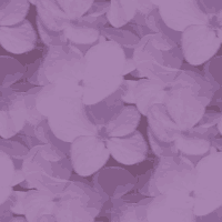 fondos web lilas, fondos gratis de color lila