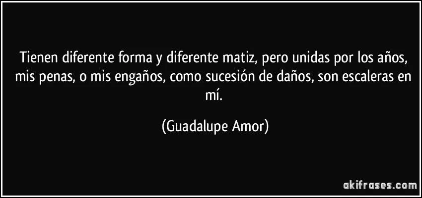 Tienen diferente forma y diferente matiz, pero unidas por los... Tienen diferente forma y diferente matiz, pero unidas por los...