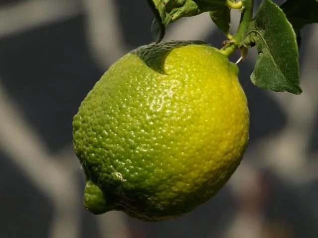 mi forma de pintar un limón (Ver en grande para sacarle todo su jugo ...