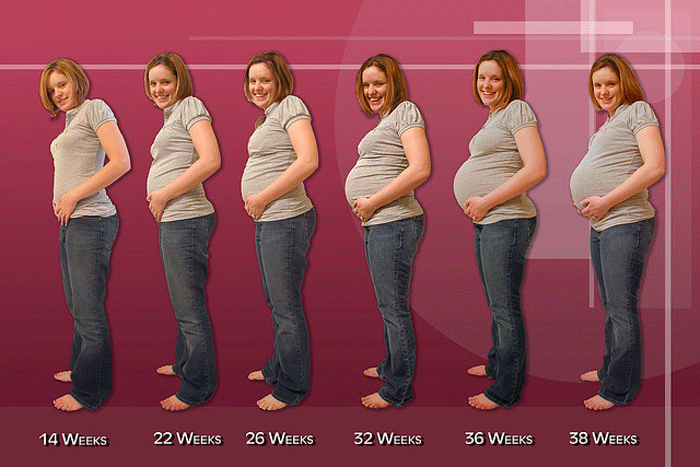 Formación del bebé mes a mes - Bebé feliz