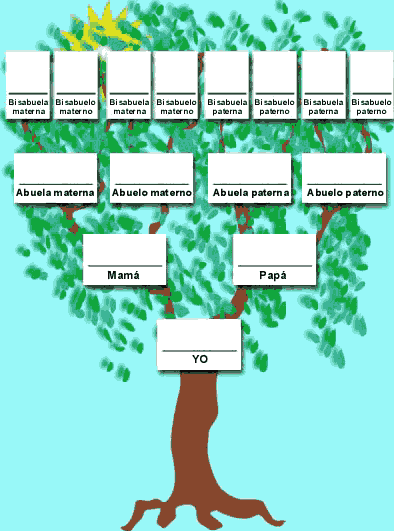 árbol genealógico modelo - Imagui