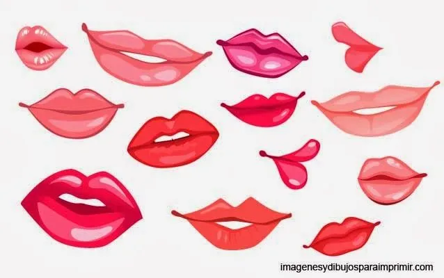 Formas de labios y cómo cuidarlos : Kat Maquillaje y Accesorios