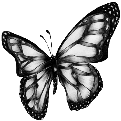EaraNDis: Mariposa Negra