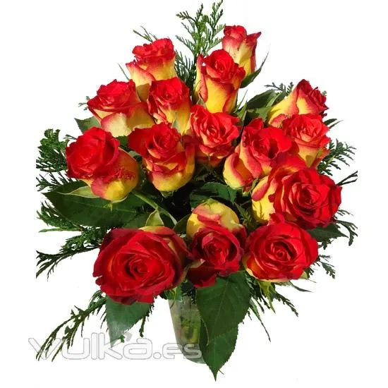 Foto: Regala rosas a domicilio. Bouquet de Rosas bicolor para ...