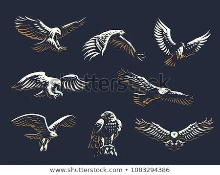 Foto stock - gráfico · cabeza · calvo · águila · vector ... Foto stock - gráfico · cabeza · calvo · águila · vector ...