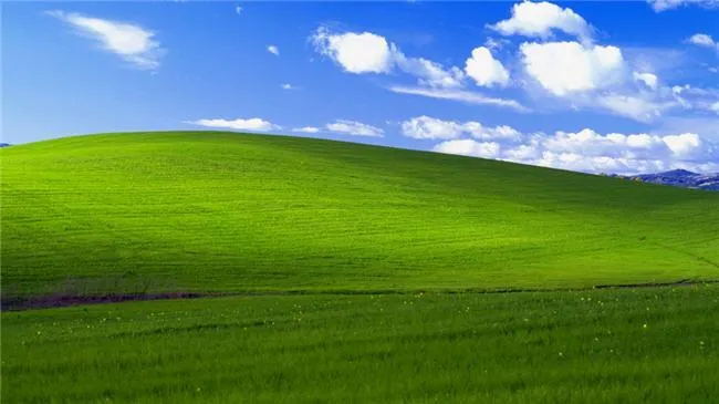 La foto más vista de la historia: el fondo de pantalla de Windows XP
