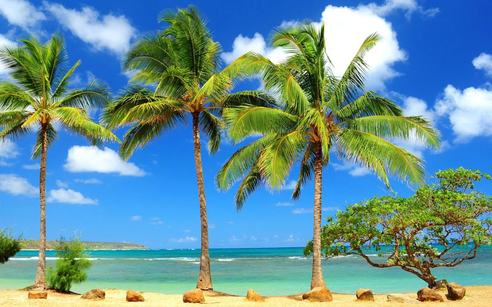 FOTOFRONTERA: Bella playa con palmeras y un cielo espectacular