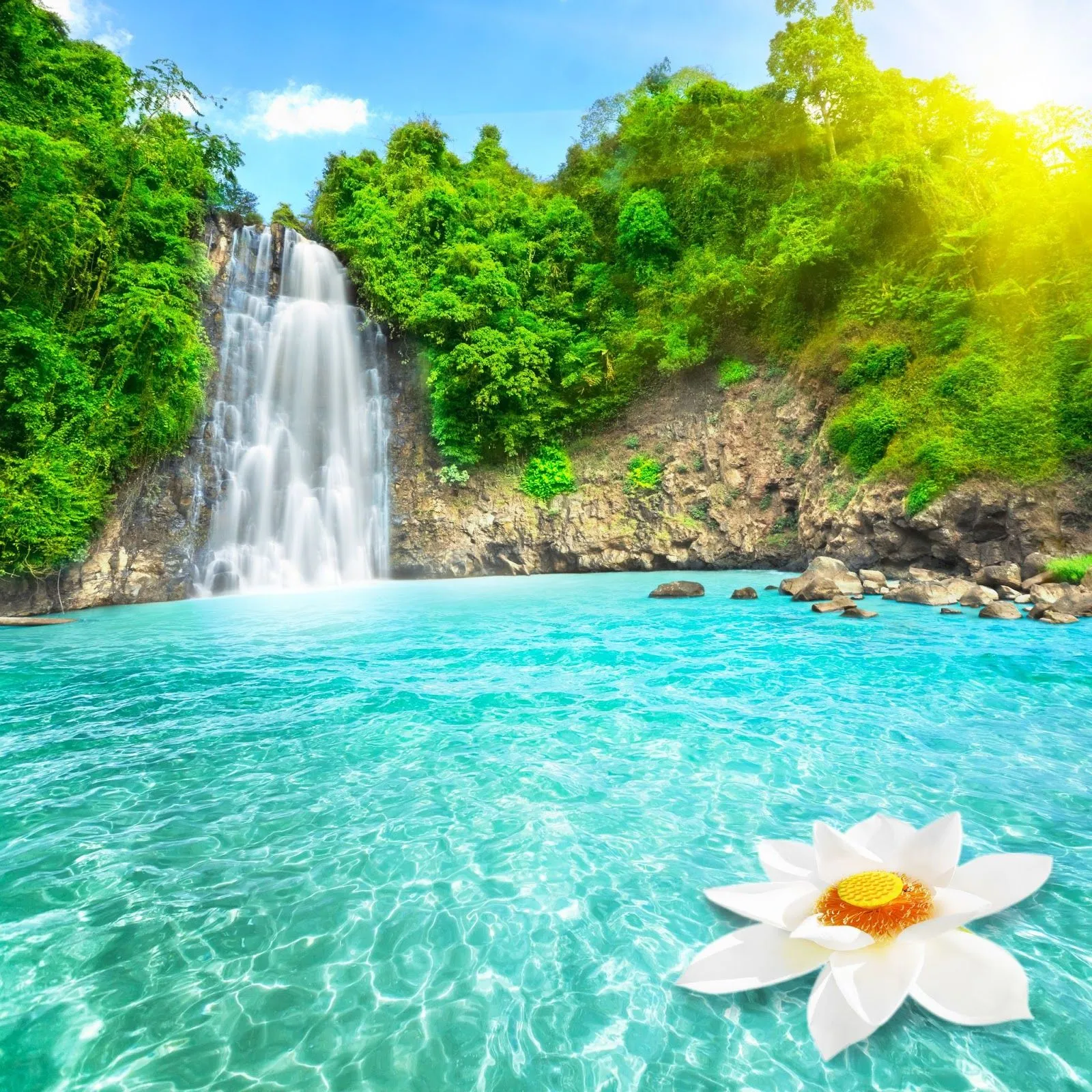 FOTOFRONTERA: Cascada de agua turquesa con flores hermosas FOTOFRONTERA: Cascada de agua turquesa con flores hermosas