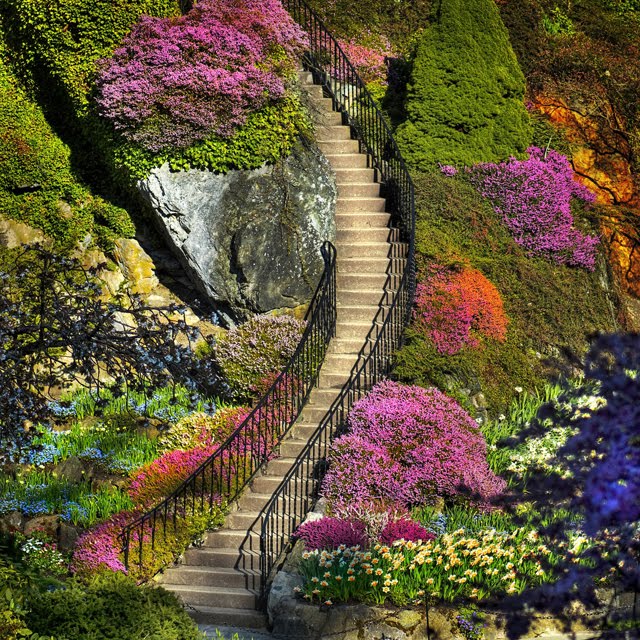 FOTOFRONTERA: Escalera hacia los jardines del Paraíso - Paradise ...