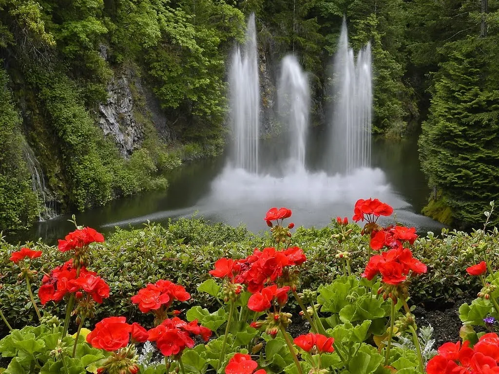 FOTOFRONTERA: Flores perfumadas adornando la cascada FOTOFRONTERA: Flores perfumadas adornando la cascada