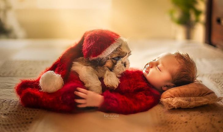 Una fotógrafa captura a bebés recién nacidos junto a sus mascotas, y las fotos son absolutamente adorables / Genial
