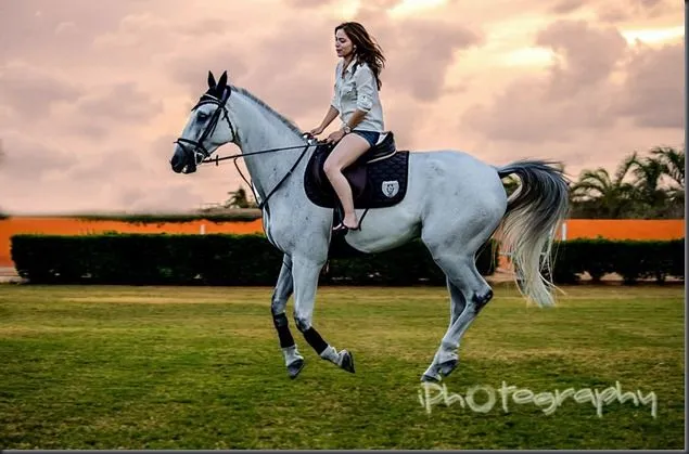 Como fotografiar caballos y jinetes. | Fotografia para principiantes