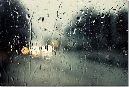 Como hacer fotografías en los días de lluvia. | Fotografía para ...