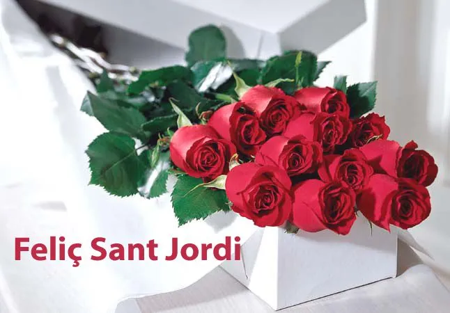 Fotografias rosas Sant Jordi - Fotografias y fotos para imprimir