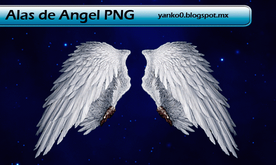 Alas de ángel PNG by Yanko0 ~ Photoshop Facil