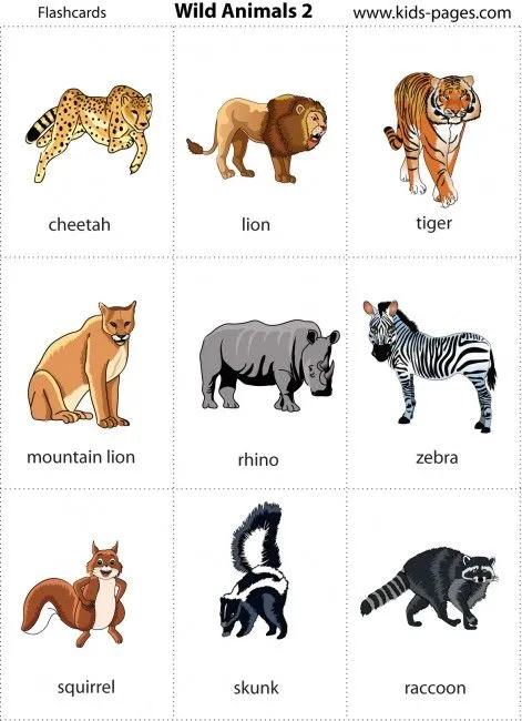 Todos los animale salvajes en inglés - Imagui