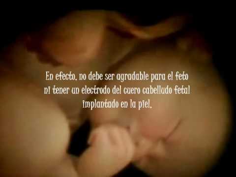 Frases de un bebé en el vientre a su madre - Imagui