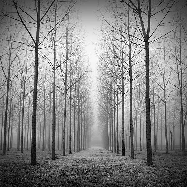 Imagenes blanco y negro de paisajes - Imagui