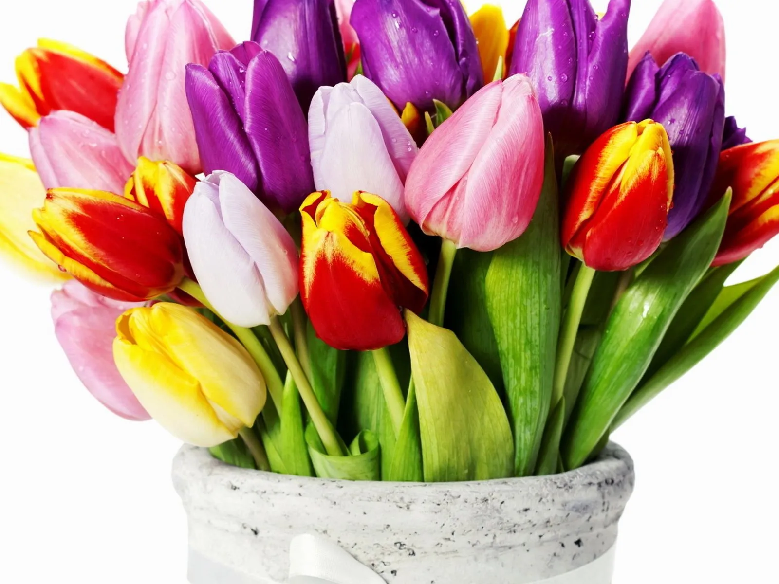 Fotos bonitas de rosas de colores para facebook Mejores fotos del ... Fotos bonitas de rosas de colores para facebook Mejores fotos del ...