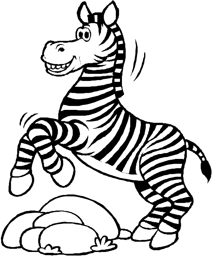 Fotos de Cebras o Zebras - Especies del género Equus Fotos de Cebras o Zebras - Especies del género Equus