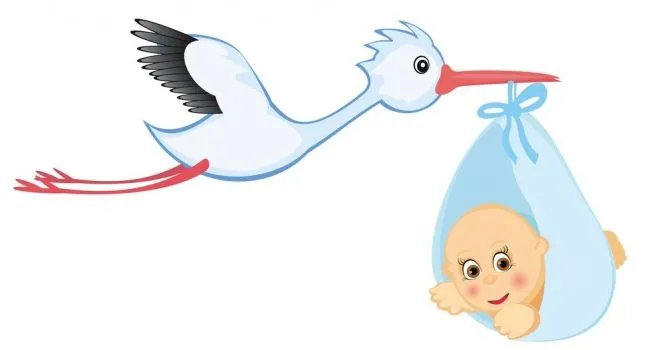 Ver imágenes de cigüeñas con bebé de dibujo - Imagui