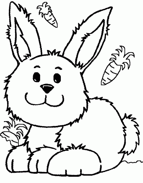 Dibujos de conejos para colorear e imprimir - Imagui