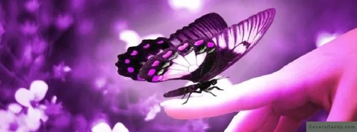 Portadas bonitas de mariposas para FaceBook - Imagui
