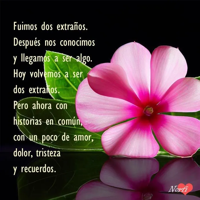 Fotos y frases sobre historias tristes de amor y dolor Fotos y frases sobre historias tristes de amor y dolor