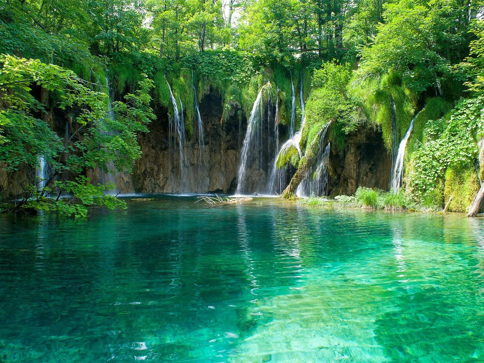 Fotos de lindas cascadas en estanque Mejores fotos del mundo para ...