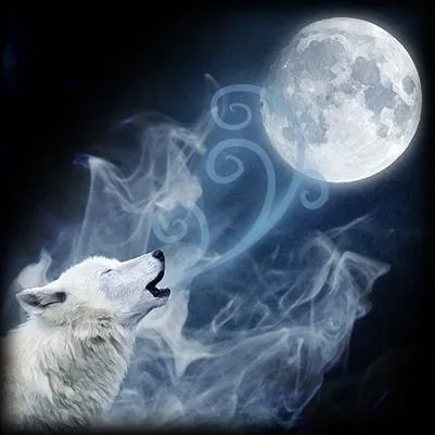 Fotos lobo aullando luna llena - Imagui