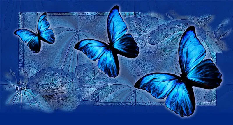 Mariposas azules gif - Imagui