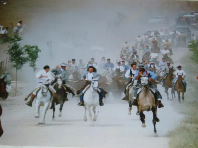 Fotos de PATERNA DE RIVERA - entrada de vacas Fotos de PATERNA DE RIVERA - entrada de vacas