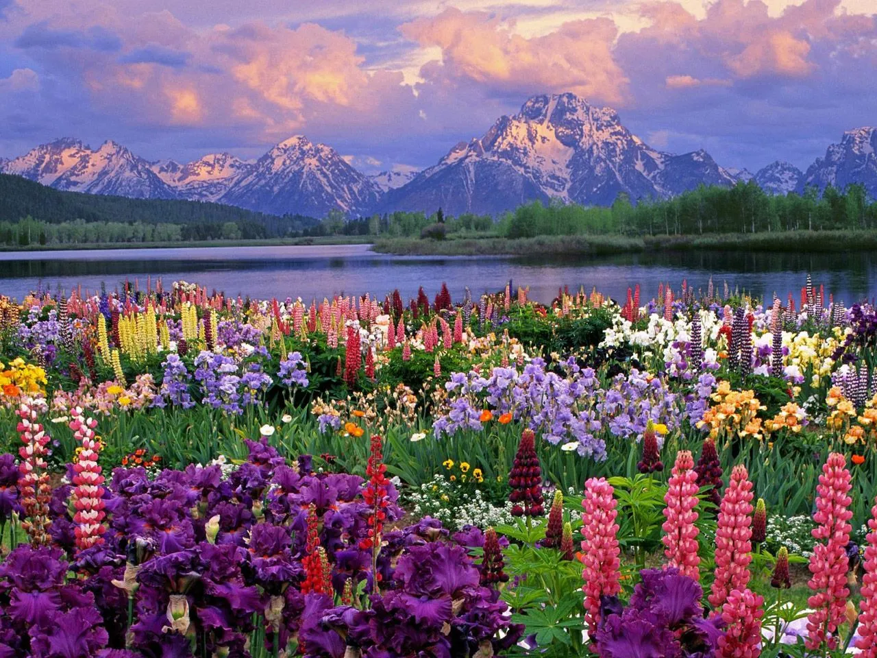 Fotos de la primavera ( Hermosas imagenes ) - Taringa! Fotos de la primavera ( Hermosas imagenes ) - Taringa!