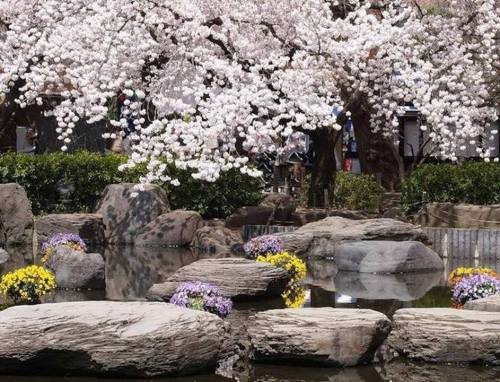 Fondos de pantalla jardines japoneses - Imagui